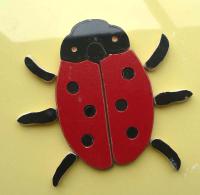 Ceramic ladybird kitset
