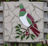 Kereru
