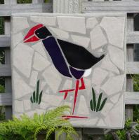 Pukeko
